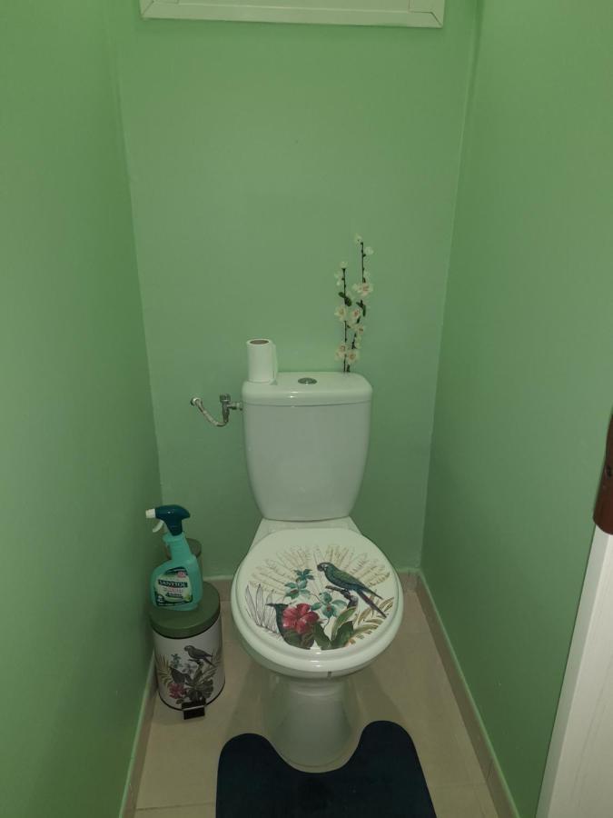 Bougainvilliers Apartman Schoelcher Kültér fotó